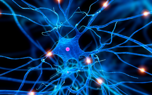 Blue neuron on a dark background with many thin extensions. Bright orange spots along the extensions representing nerve signals.