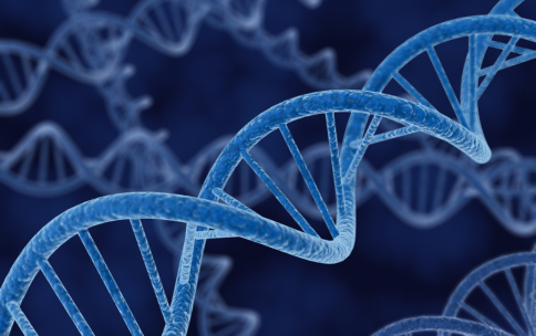 Image showing blue DNA helices.
