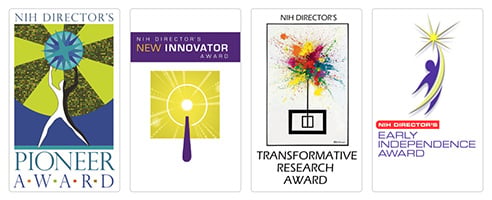 High-Risk, High-Reward Research Programs