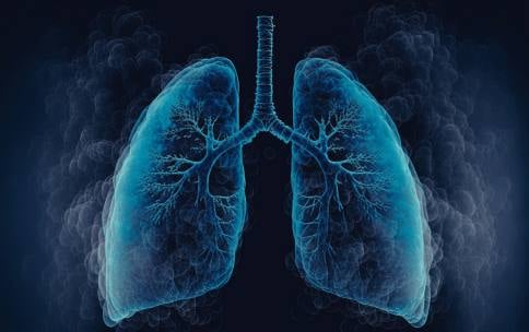 A 3D illustration of lungs set against a dark, smoky background.