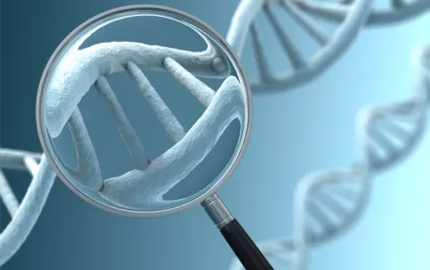 An illustration showing a magnifying glass making DNA appear bigger.