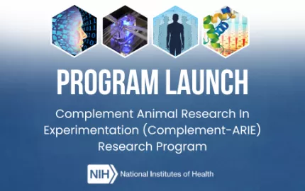 image text: Program Launch. Complement Animal Research In Experimentation (Complement-ARIE) Research Program. Image of the NIH logo is shown.