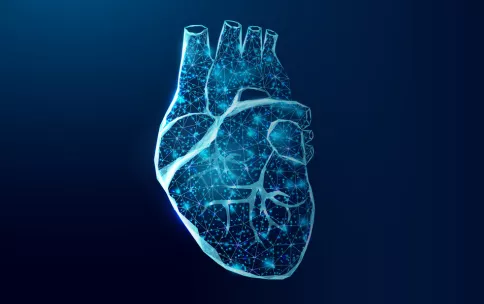 A digital outline of a heart on a dark background