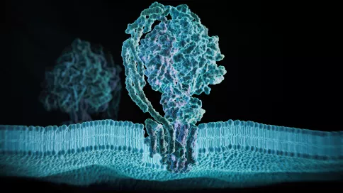 3D rendered image of ATP synthase is shown