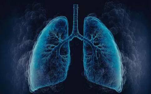 A 3D illustration of lungs set against a dark, smoky background.