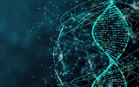 The three-dimensional organization of the nucleus.
