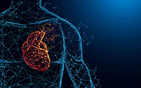 A Change of Heart? Uncovering Sex Differences in Cardiac Neurochemistry.