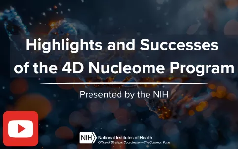 Thumbnail image with blue DNA background from a video with text that reads: Highlights and Successes of the 4D Nucleome Program. Presented by the NIH"