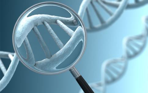 An illustration showing a magnifying glass making DNA appear bigger.